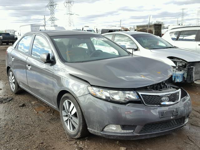 KNAFU4A29D5686793 - 2013 KIA FORTE EX GRAY photo 1