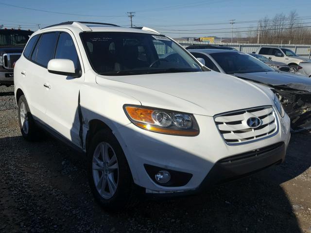 5NMSKDAG0AH396048 - 2010 HYUNDAI SANTA FE L WHITE photo 1