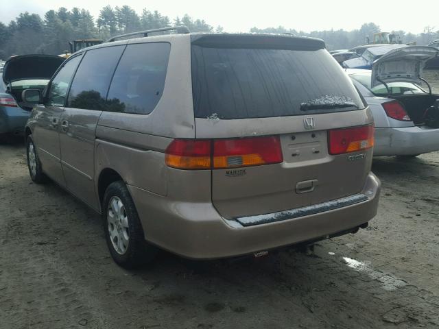 5FNRL18913B106034 - 2003 HONDA ODYSSEY EX TAN photo 3