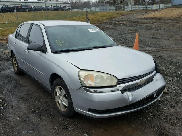 1G1ZT54825F163113 - 2005 CHEVROLET MALIBU LS SILVER photo 1