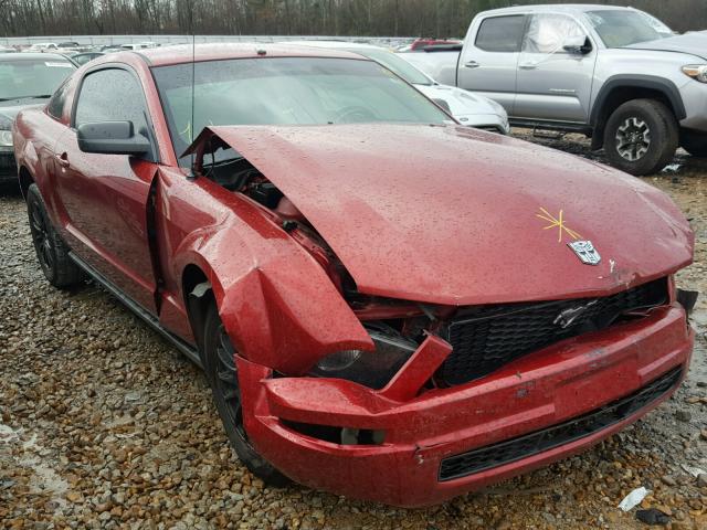 1ZVFT80N055136907 - 2005 FORD MUSTANG RED photo 1