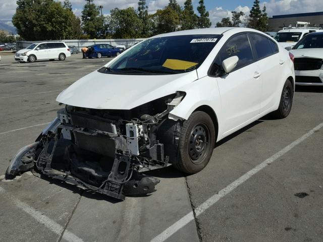 KNAFX4A62G5497997 - 2016 KIA FORTE LX WHITE photo 2