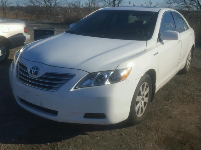 4T1BB46K78U043169 - 2008 TOYOTA CAMRY HYBR WHITE photo 2