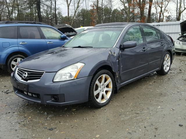 1N4BA41E08C817721 - 2008 NISSAN MAXIMA SE BLUE photo 2