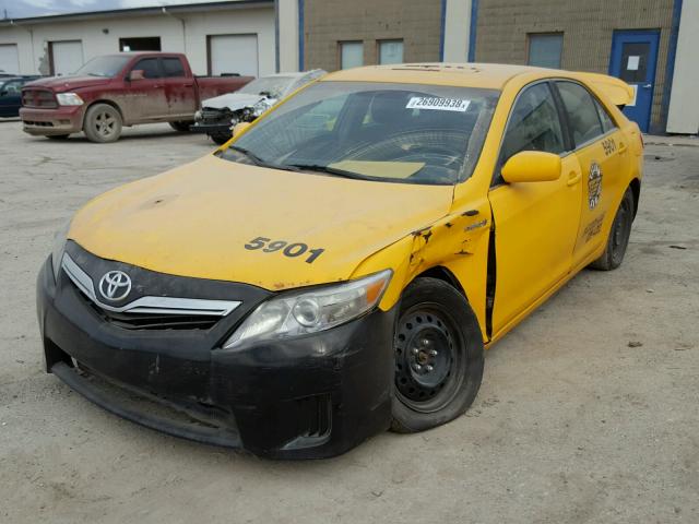 4T1BB3EK9AU115927 - 2010 TOYOTA CAMRY HYBR YELLOW photo 2