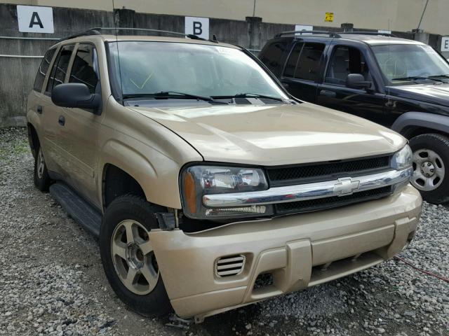 1GNDS13S962178668 - 2006 CHEVROLET TRAILBLAZE GOLD photo 1