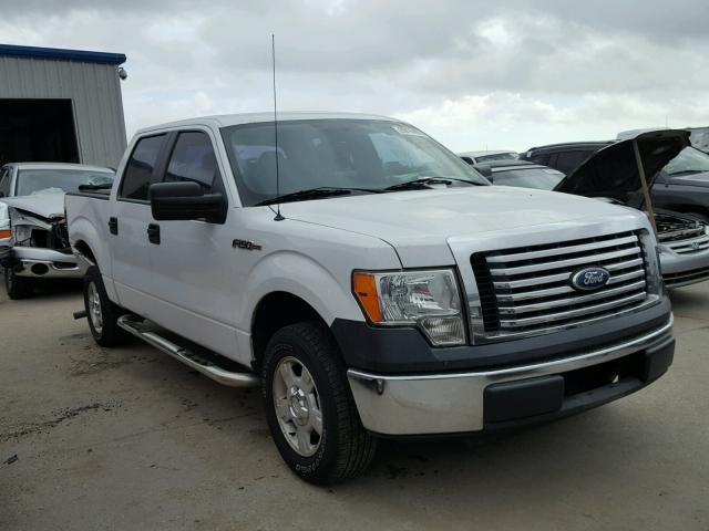 1FTEW1C81AFD64874 - 2010 FORD F150 SUPER WHITE photo 1