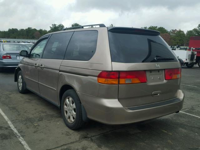 5FNRL18963B123539 - 2003 HONDA ODYSSEY EX TAN photo 3