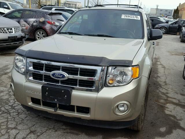 1FMCU0DG0BKA59304 - 2011 FORD ESCAPE XLT BEIGE photo 2