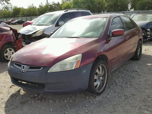 1HGCM66534A060069 - 2004 HONDA ACCORD EX RED photo 2