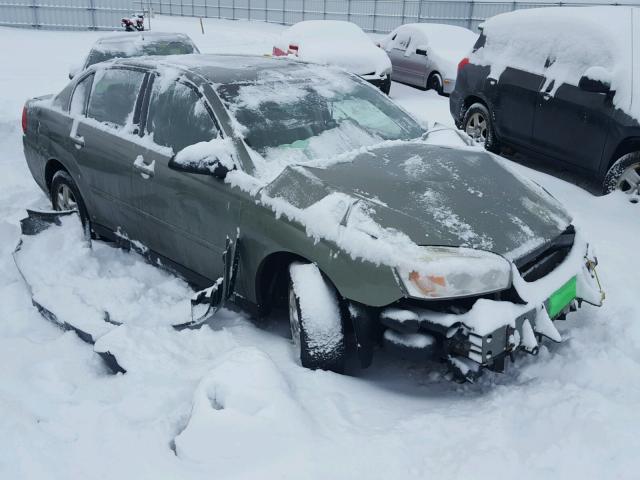 1G1ZT54844F100240 - 2004 CHEVROLET MALIBU LS GREEN photo 1