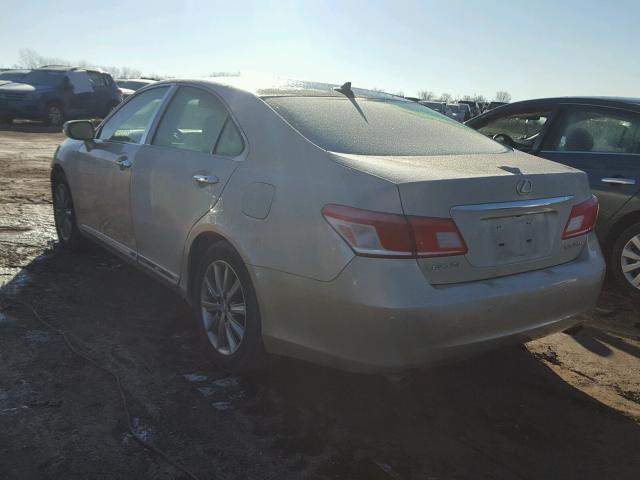 JTHBK1EG1A2408199 - 2010 LEXUS ES 350 TAN photo 3