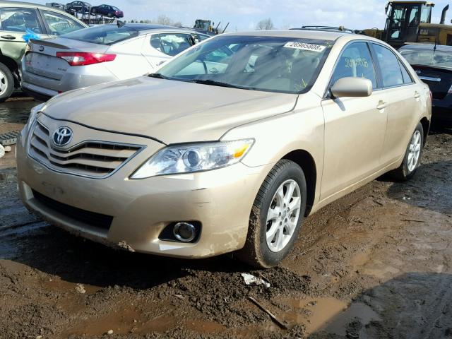 4T1BF3EK2BU230617 - 2011 TOYOTA CAMRY BASE GOLD photo 2