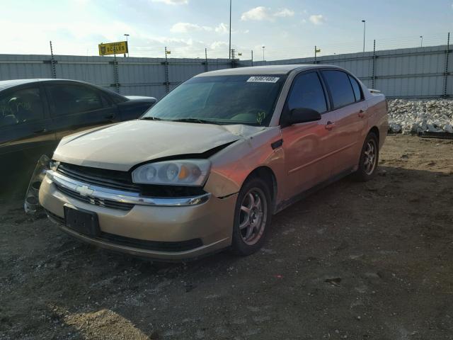 1G1ZT54844F146022 - 2004 CHEVROLET MALIBU LS 金色 照片 2