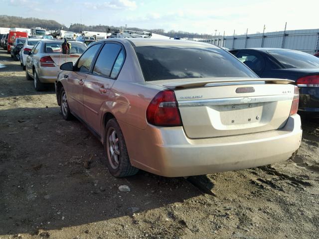 1G1ZT54844F146022 - 2004 CHEVROLET MALIBU LS 金色 照片 3