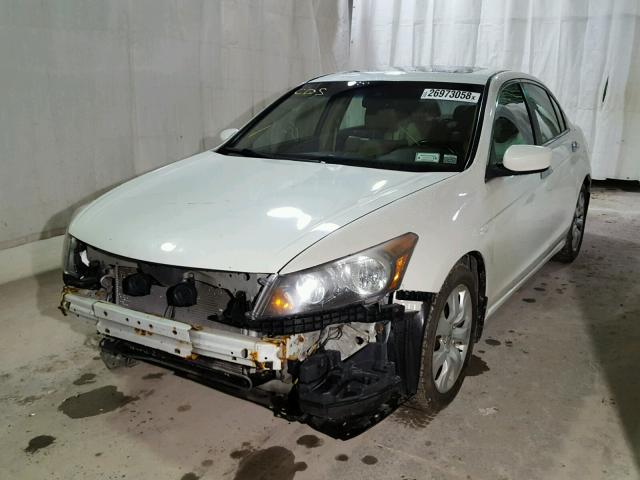 1HGCP36889A018410 - 2009 HONDA ACCORD EXL WHITE photo 2