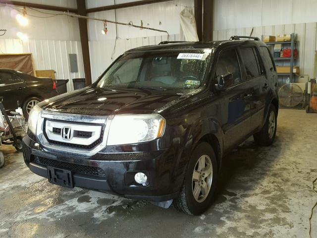 5FNYF38549B019961 - 2009 HONDA PILOT EXL BLACK photo 2