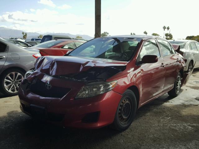 1NXBU40E99Z065365 - 2009 TOYOTA COROLLA BA RED photo 2