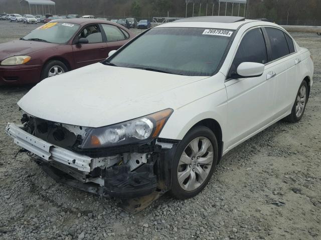 5KBCP3F85AB011801 - 2010 HONDA ACCORD EXL WHITE photo 2