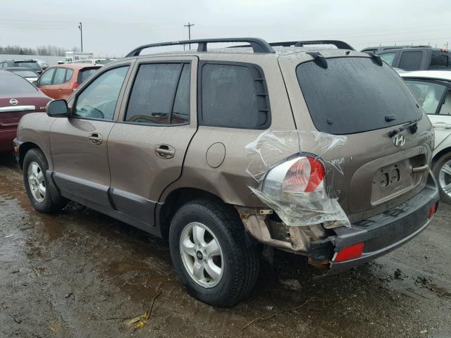 KM8SC13E85U935677 - 2005 HYUNDAI SANTA FE G TAN photo 3