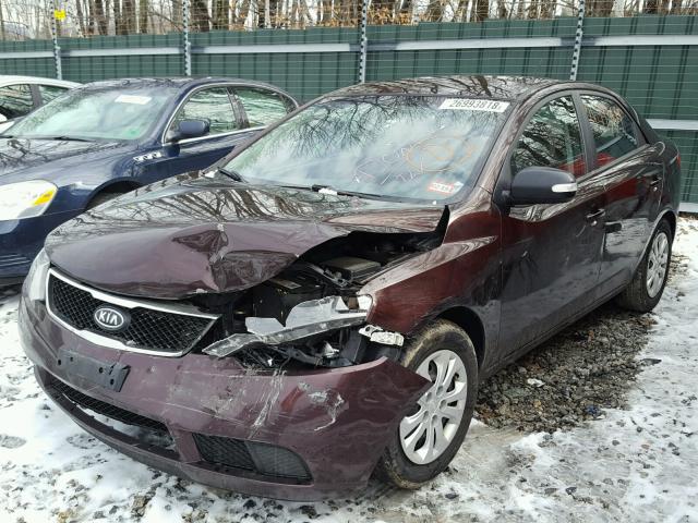 KNAFU4A26A5298786 - 2010 KIA FORTE EX PURPLE photo 2