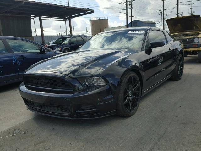 1ZVBP8AM8D5241816 - 2013 FORD MUSTANG BLACK photo 2