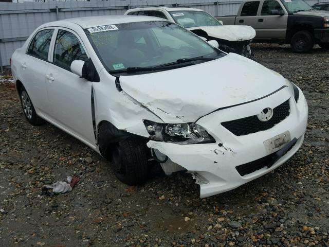 1NXBU4EE7AZ338381 - 2010 TOYOTA COROLLA BA WHITE photo 1