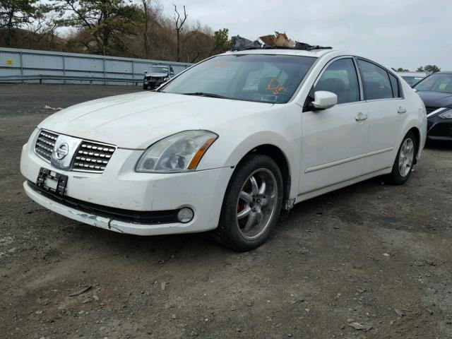 1N4BA41E44C922370 - 2004 NISSAN MAXIMA SE WHITE photo 2