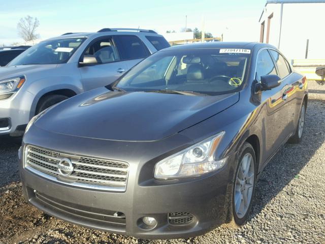 1N4AA51E09C857378 - 2009 NISSAN MAXIMA S GRAY photo 2