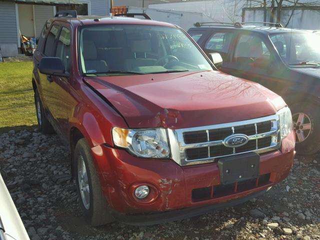 1FMCU9DG1CKC61929 - 2012 FORD ESCAPE XLT RED photo 1