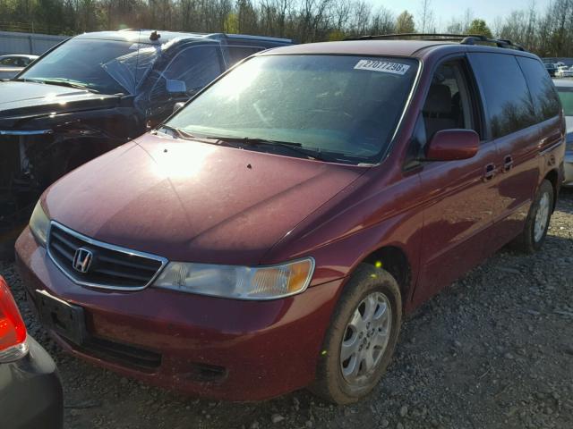 5FNRL18603B015522 - 2003 HONDA ODYSSEY EX RED photo 2