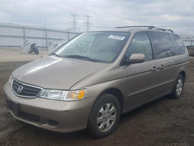 5FNRL18904B029707 - 2004 HONDA ODYSSEY EX TAN photo 2