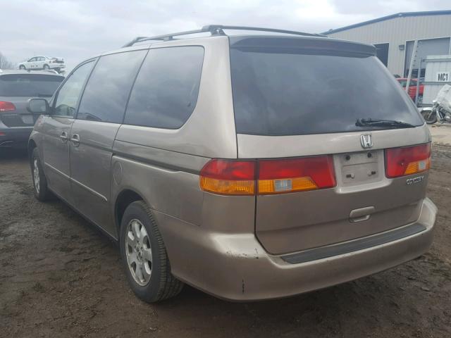 5FNRL18904B029707 - 2004 HONDA ODYSSEY EX TAN photo 3