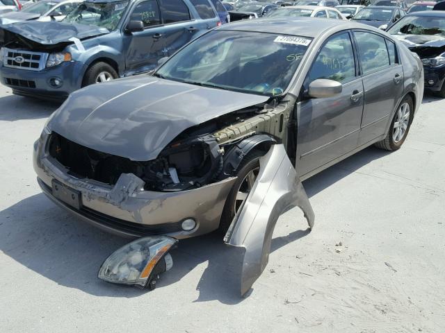 1N4BA41E54C890724 - 2004 NISSAN MAXIMA SE TAN photo 2