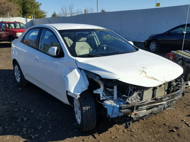 KNAFT4A29A5311405 - 2010 KIA FORTE LX WHITE photo 1