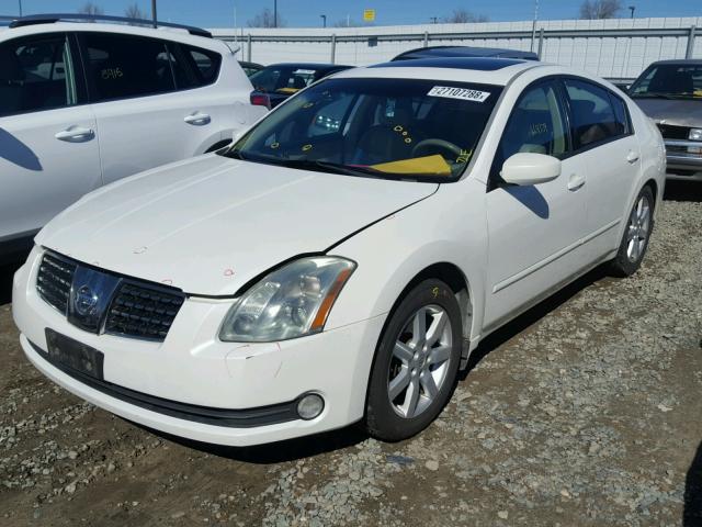 1N4BA41E95C869179 - 2005 NISSAN MAXIMA SE WHITE photo 2