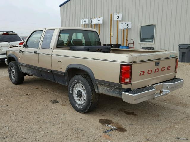 1B7GG23Y1PS180823 - 1993 DODGE DAKOTA GOLD photo 3