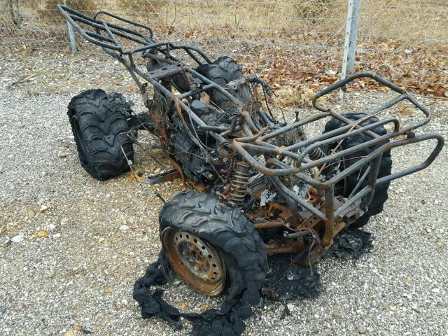 478TE250724111703 - 2002 HONDA TRX350 FM BURN photo 1