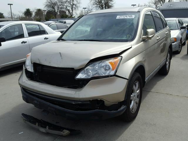 JHLRE48728C015310 - 2008 HONDA CR-V EXL GOLD photo 2