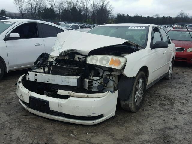 1G1ZT54845F198378 - 2005 CHEVROLET MALIBU LS 白色 照片 2