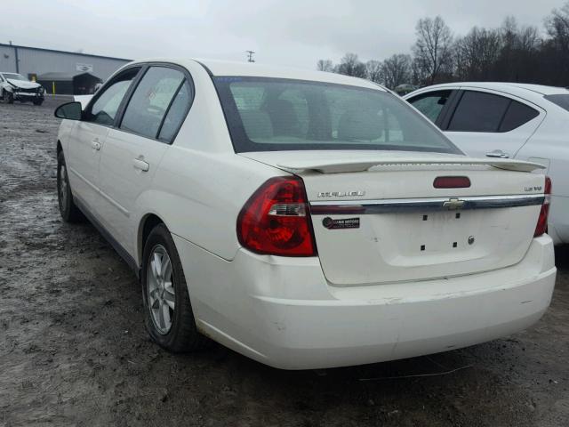 1G1ZT54845F198378 - 2005 CHEVROLET MALIBU LS 白色 照片 3