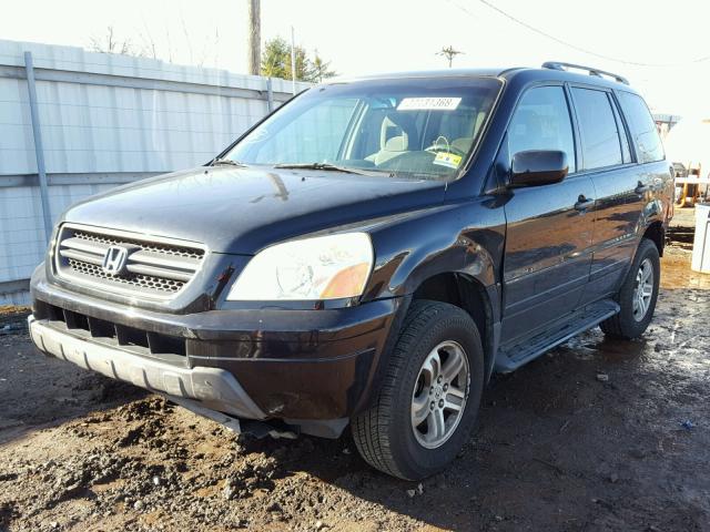 2HKYF18475H523587 - 2005 HONDA PILOT EX BLACK photo 2