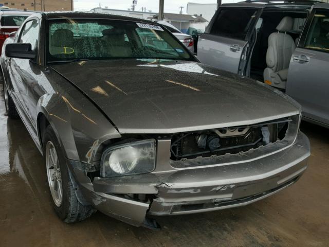 1ZVFT80N555150379 - 2005 FORD MUSTANG GRAY photo 1