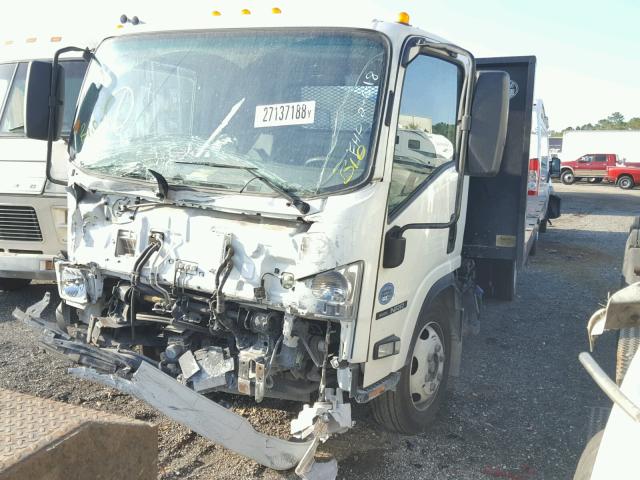 JALE5W16XG7304000 - 2016 ISUZU NQR თეთრი ფოტო 2