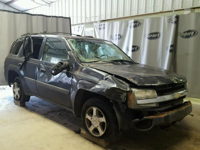 1GNDS13S252335035 - 2005 CHEVROLET TRAILBLAZE GRAY photo 1