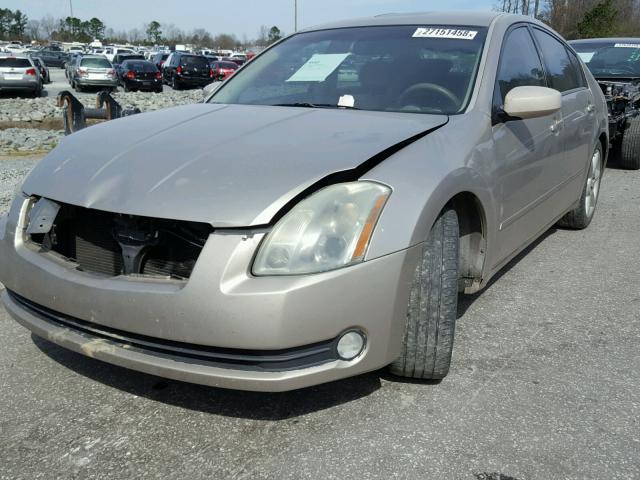 1N4BA41E76C833718 - 2006 NISSAN MAXIMA SE GOLD photo 2