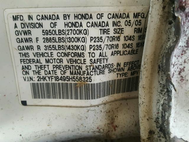 2HKYF18495H558325 - 2005 HONDA PILOT EX WHITE photo 10