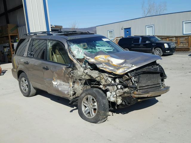 2HKYF18654H577440 - 2004 HONDA PILOT EXL GOLD photo 1