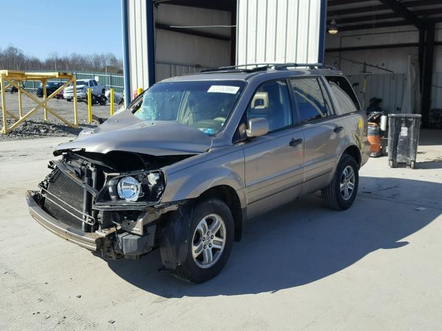 2HKYF18654H577440 - 2004 HONDA PILOT EXL GOLD photo 2