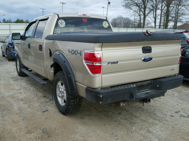 1FTRW14879FB39158 - 2009 FORD F150 SUPER TAN photo 3